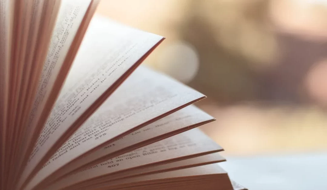 Close-up view of an open book with pages fanned out against a soft blurred background.